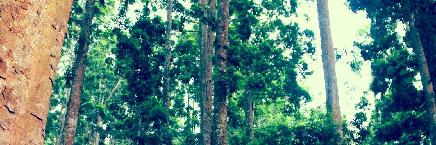 PUALAMSMAN4's profile banner image