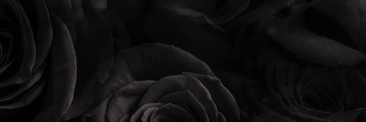 口なし banner