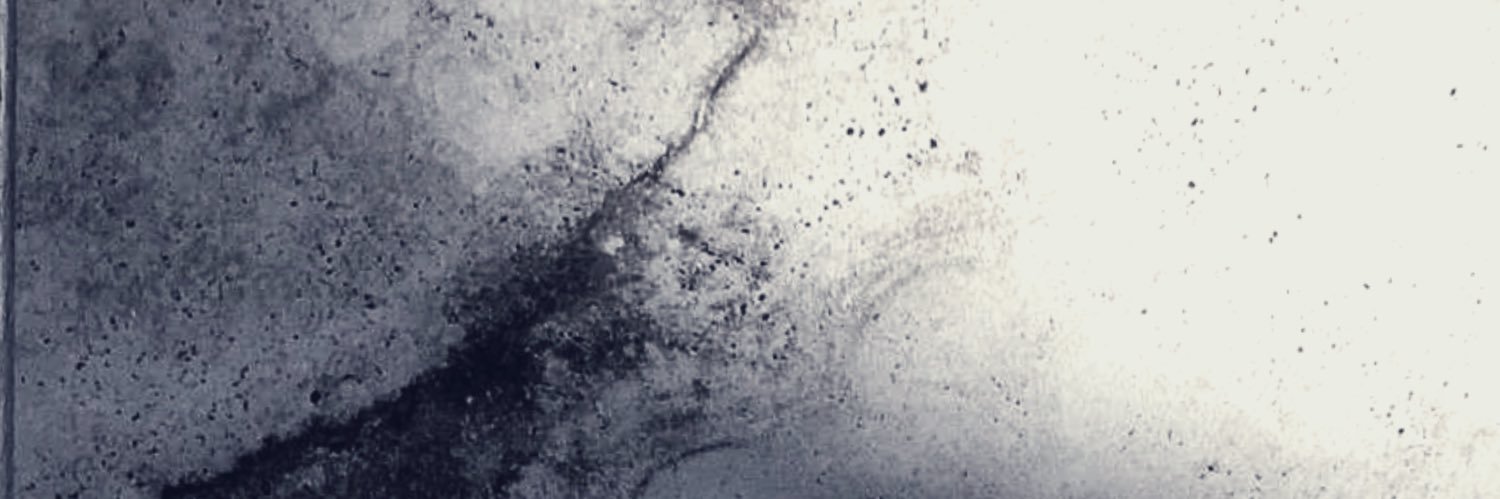 sliferrrka🦈 banner