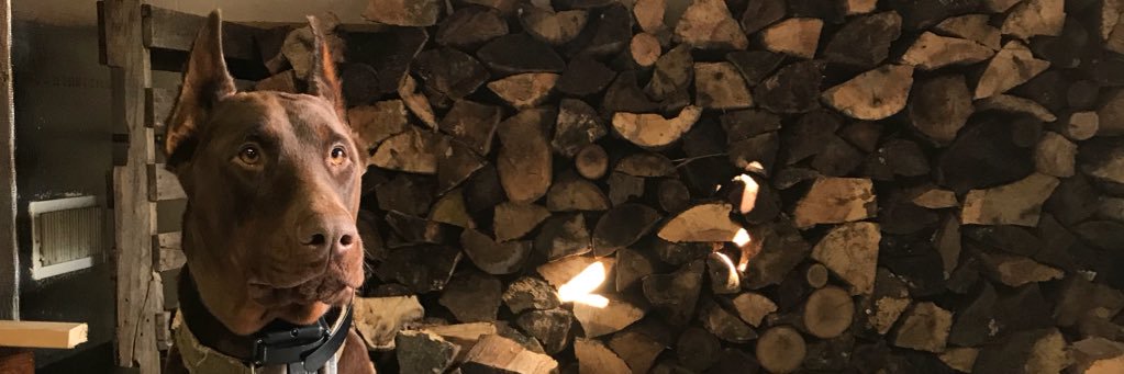LittleC7926's profile banner image