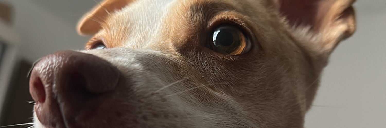 samramos_'s profile banner image