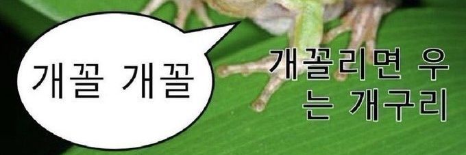 mycutelumera's profile banner image