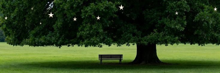 뽀글PPOGEUL banner