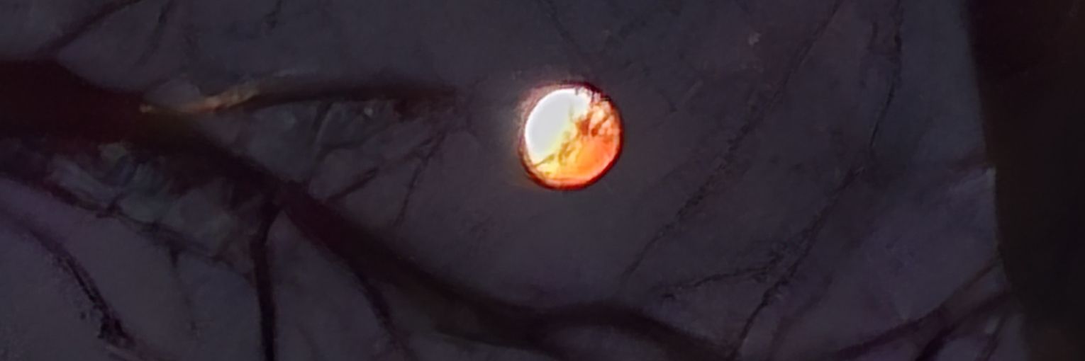 NamelessQueen0F's banner
