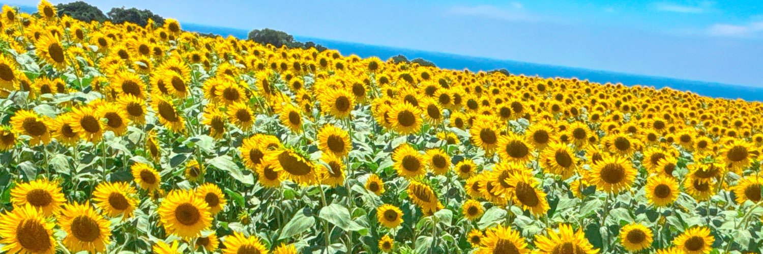 m. banner