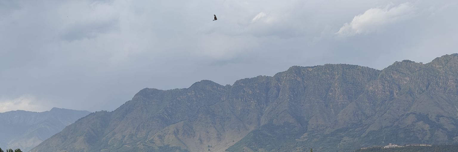 rizbrkhan's profile banner image