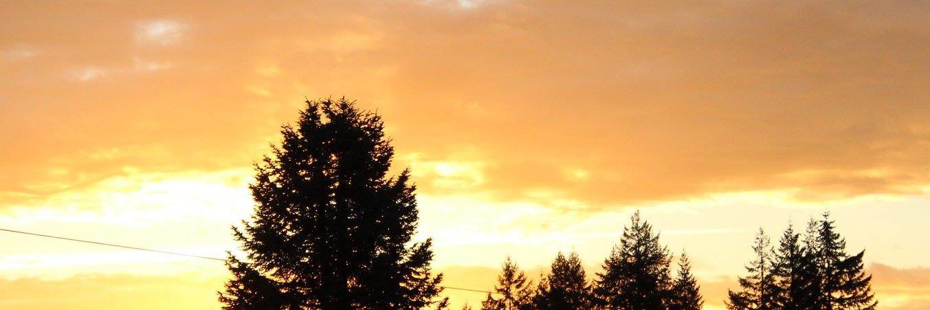treyfecta20's profile banner image