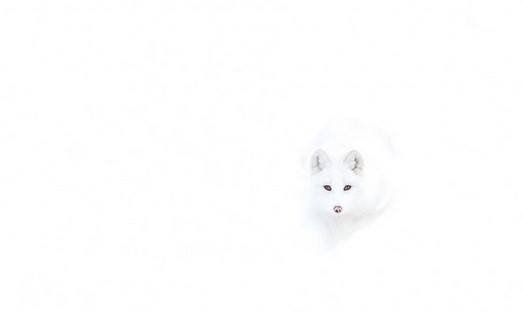RocioErpen's profile banner image