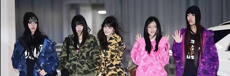 Bibi🌸 banner