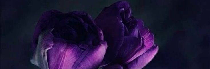 ☘️ مـہـربـــانو 👑's banner