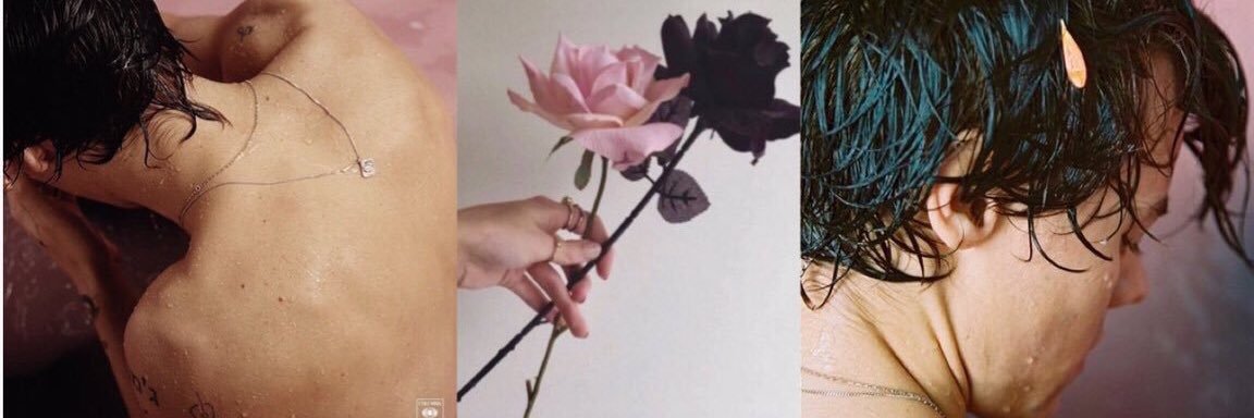 стαфρи banner