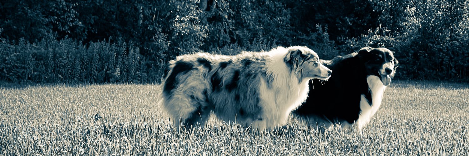 Ryan Early 🏴‍☠️ banner