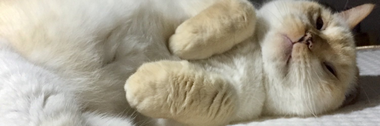 SommerSimone's profile banner image