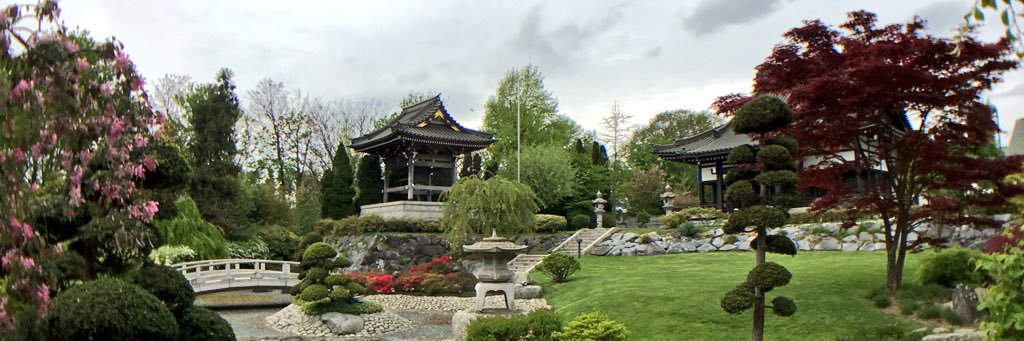 tinychannn's profile banner image