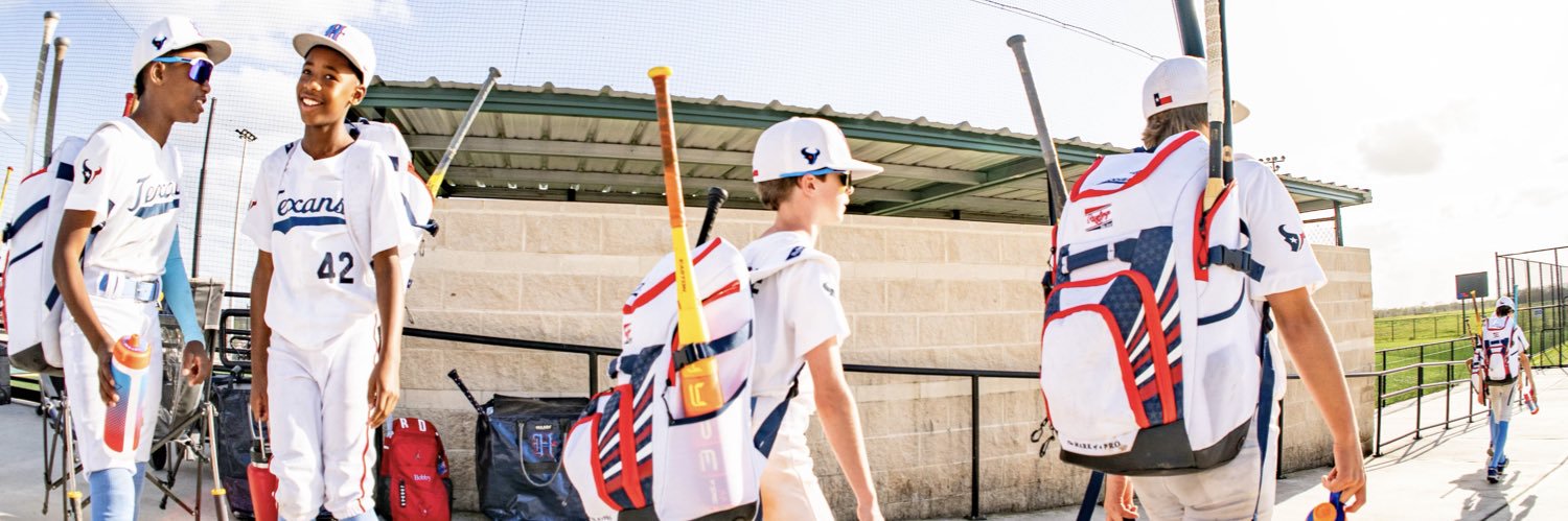TexansBaseballHTX banner
