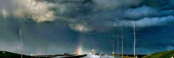 razentree Profile Banner