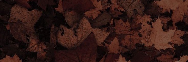 ꧁𓊈𒆜 LORD OF ASH 𒆜𓊉꧂ banner