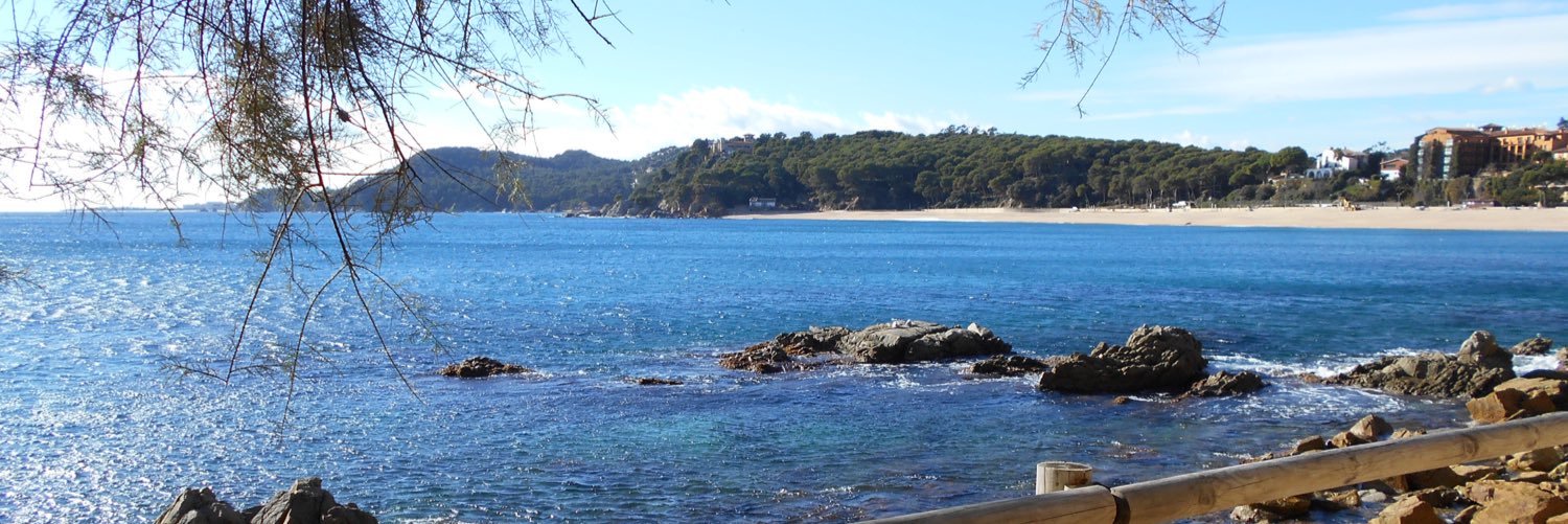 MontseJolisD's profile banner image