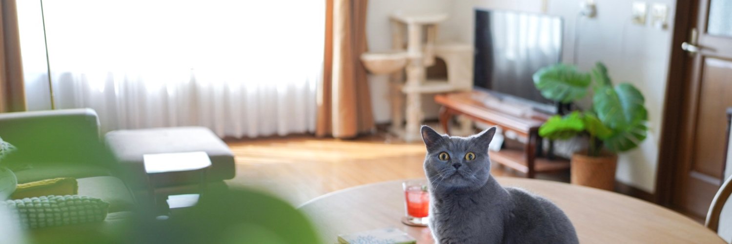 catea_diary's profile banner image