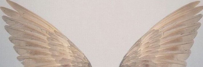 luuvaleena's profile banner image