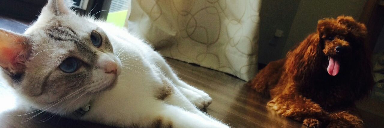 hyhy0107's profile banner image