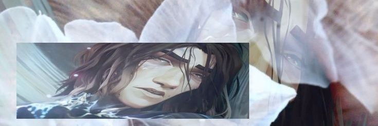 alee banner