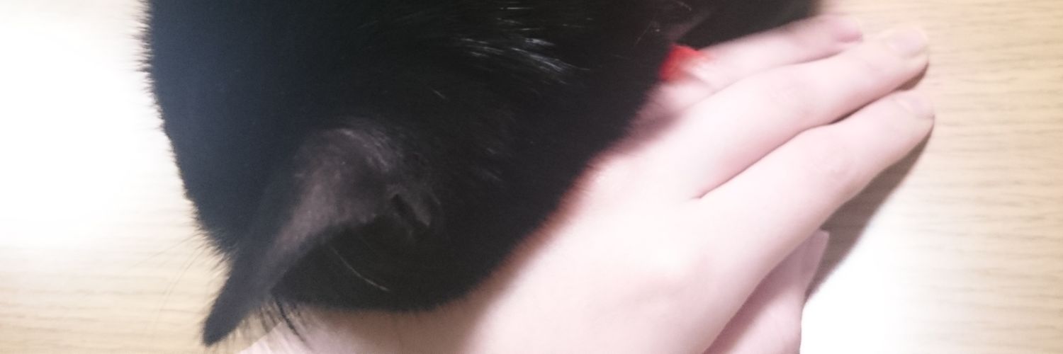 nekolelo's profile banner image