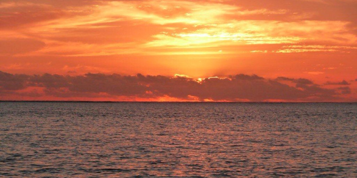 drrobertnorris's profile banner image