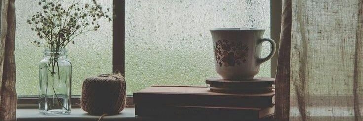 alvina91's profile banner image