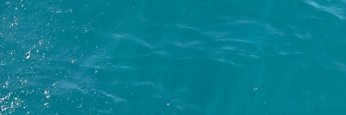 psycheankara's profile banner image