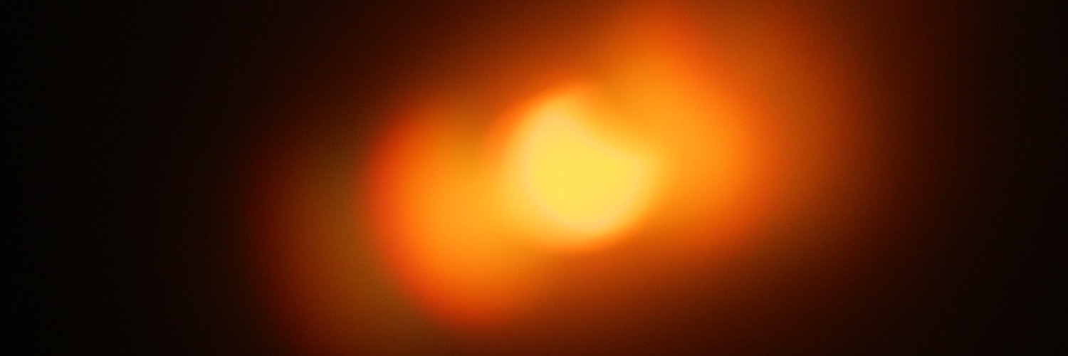 baby sister grey banner