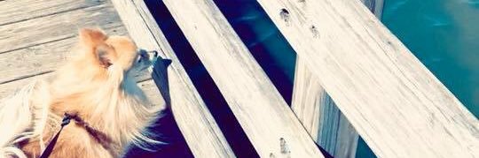 JessiJnx's profile banner image