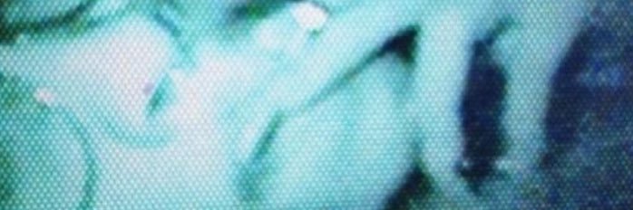 Kyreec__'s profile banner image