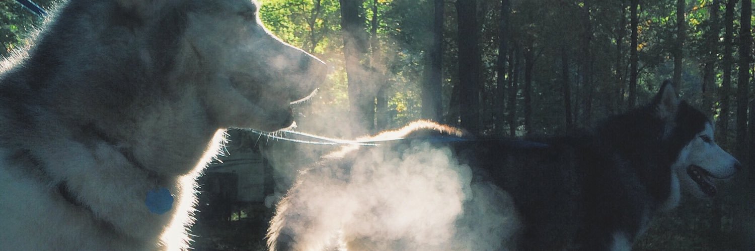 wolfmountaingrl's profile banner image