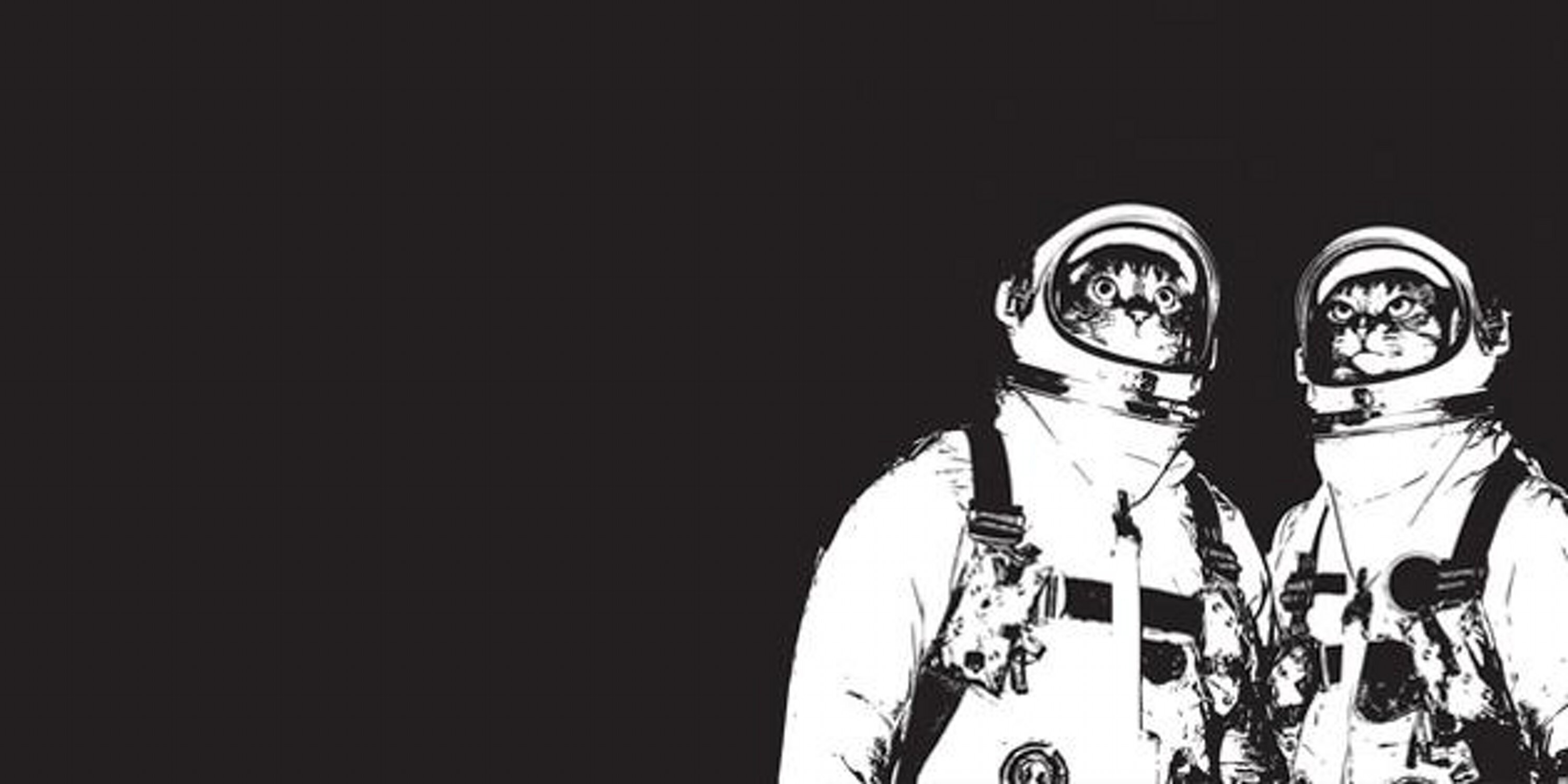 marylarious's profile banner image