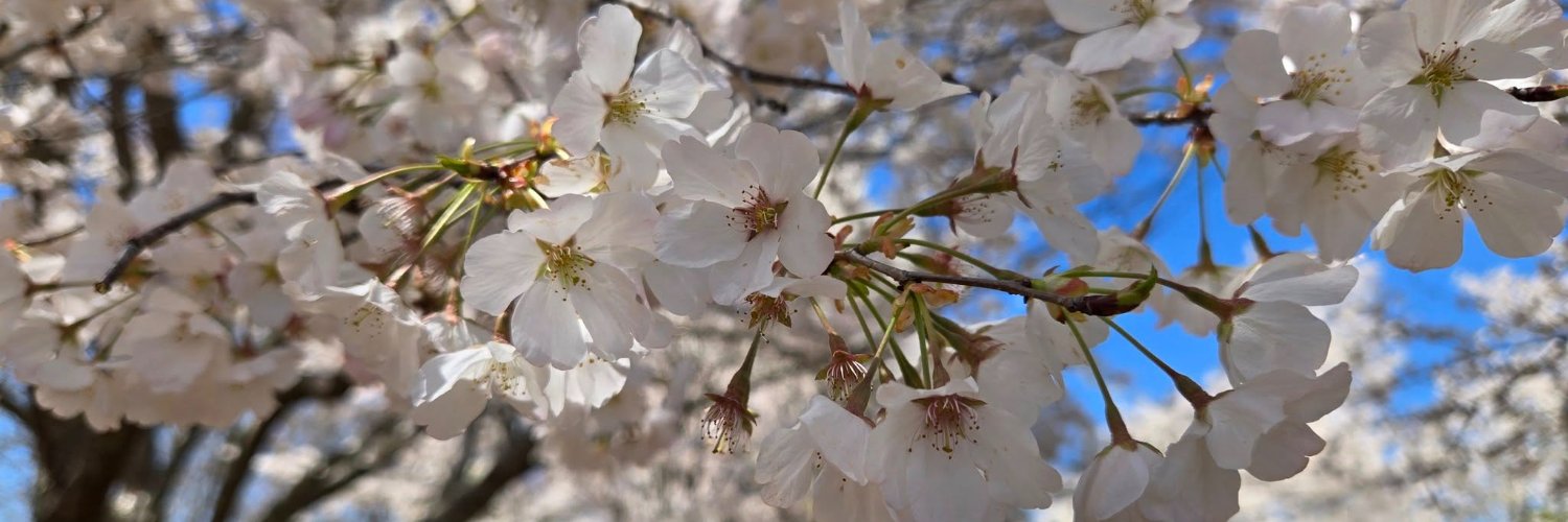 Coral Vega is writing queer romantasy (again) banner