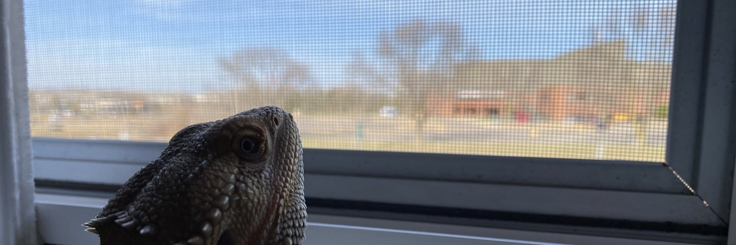 JamborDavid's profile banner image