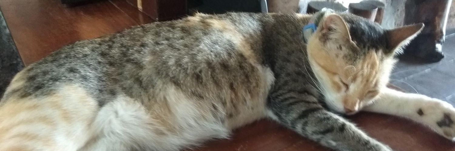 ホウトンのネコ　(=^・^=)'s banner