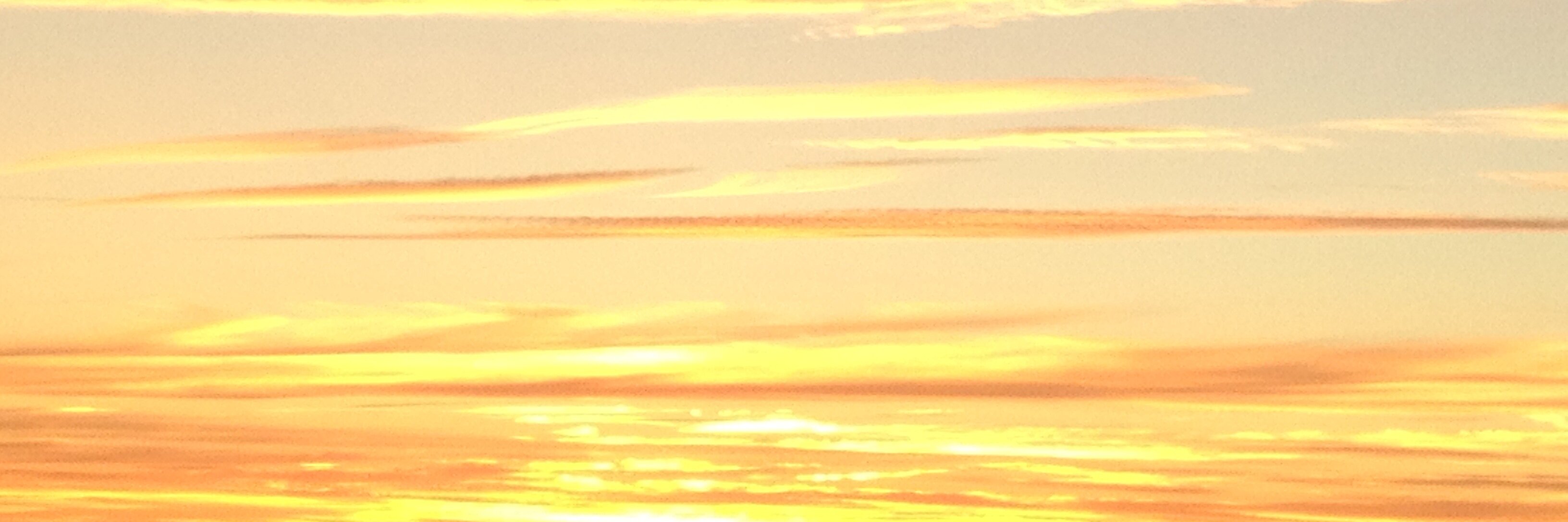 Cliff Dempster banner