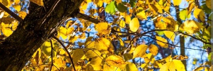 Veryron__01's profile banner image