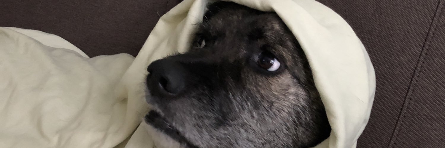 michaeldvee's profile banner image