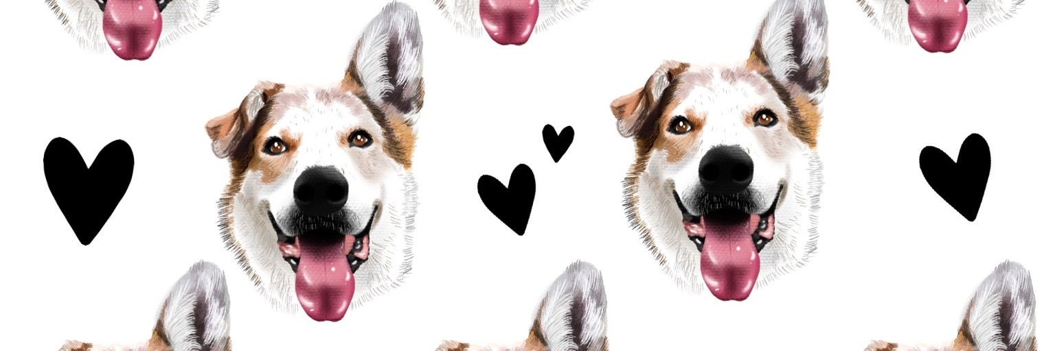 Gabs0289's profile banner image