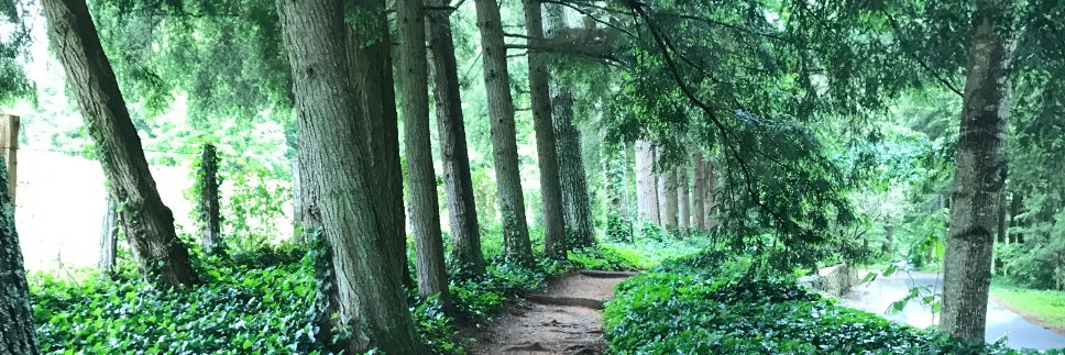 Start Line Winner banner