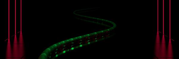 BeatWerk Profile Banner