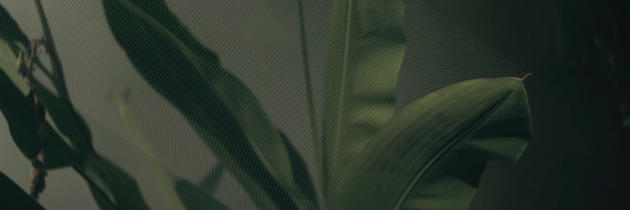 mnxxpp's profile banner image