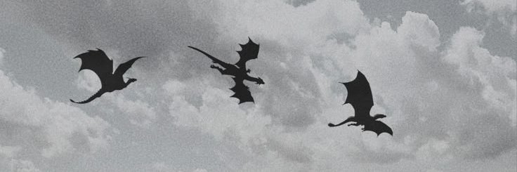 FENRI𝓡✶ banner