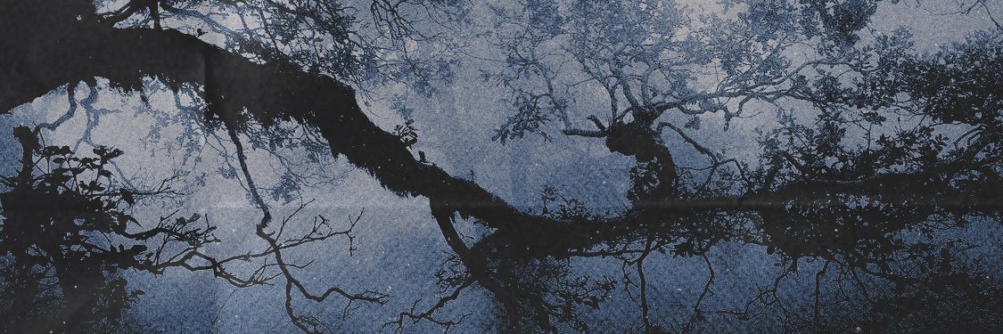 ᅠ* 𝐌𝐎𝐑𝐏𝐇𝐄𝐔𝐒's banner