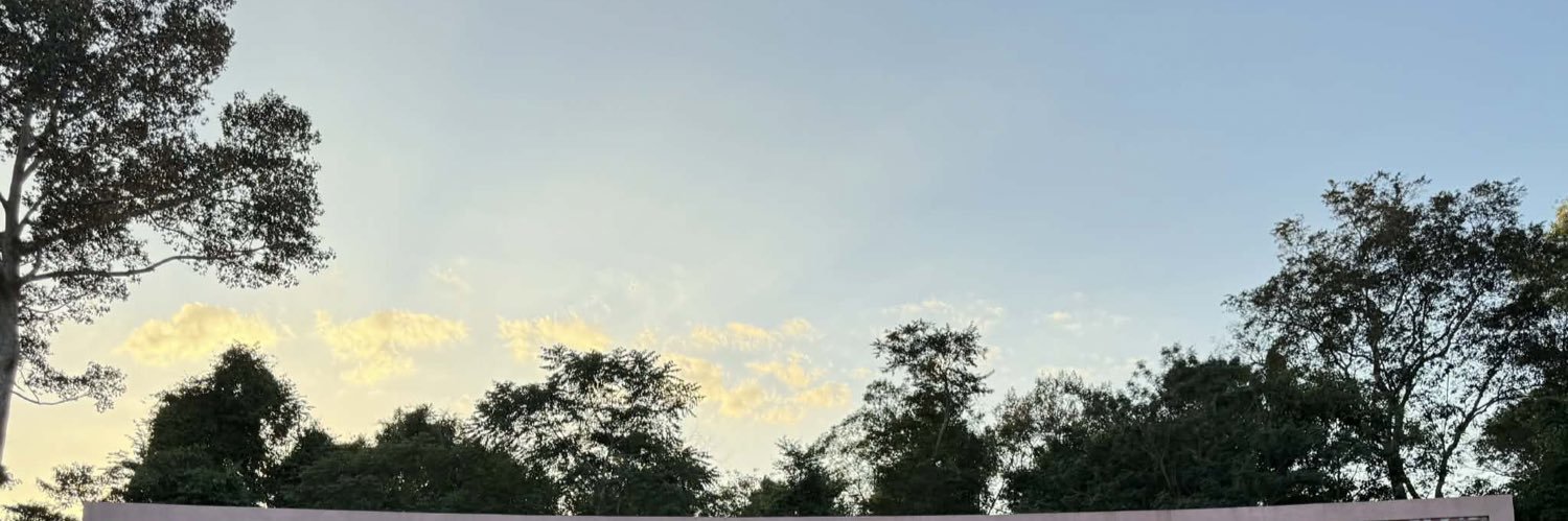 Bernie banner