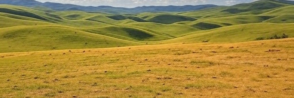 JSaufley's profile banner image
