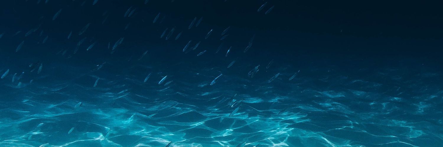 _tbotsea's profile banner image